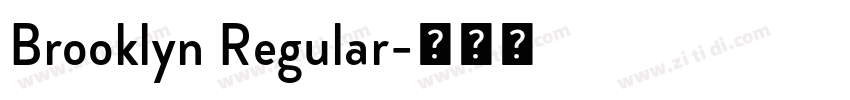 Brooklyn Regular字体转换